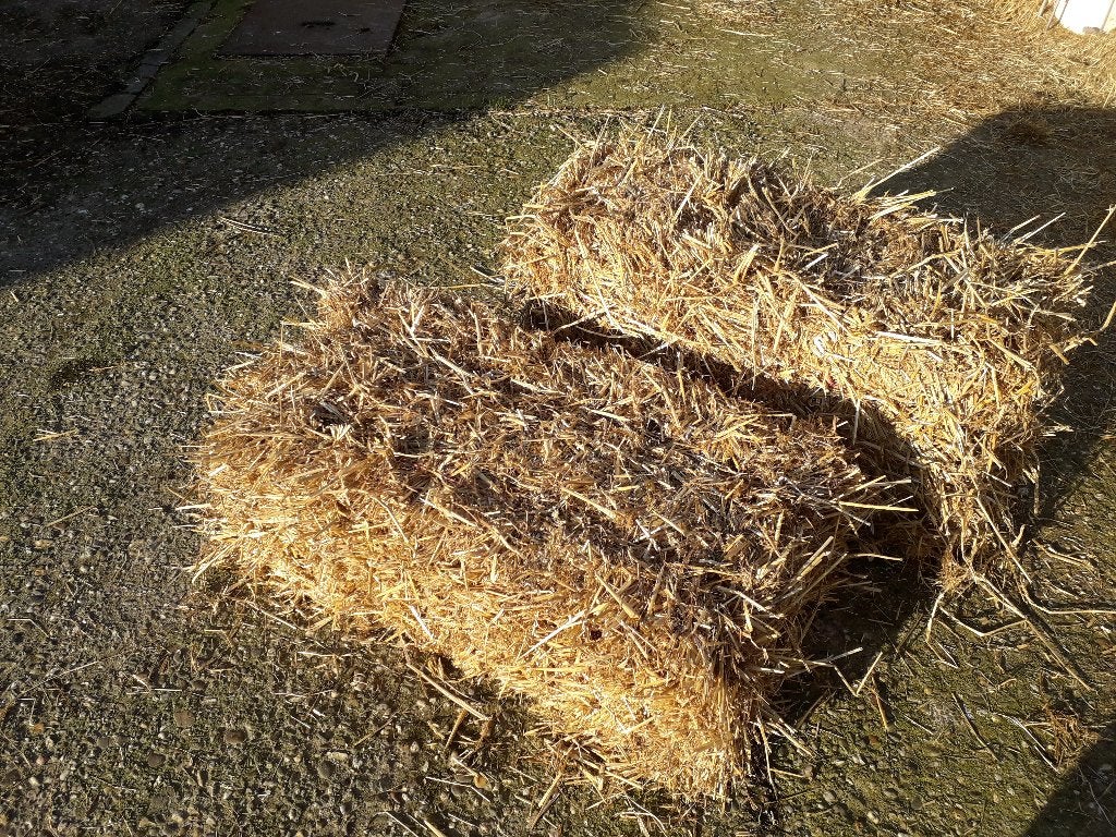 Tarwe stro kleine pakjes, Dieren en Toebehoren, Ophalen, Nieuw
