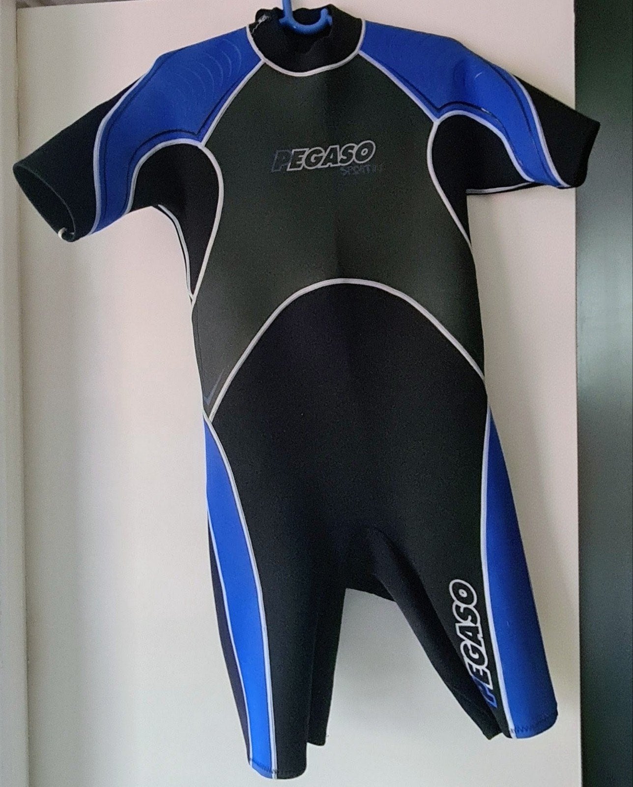 Pegaso shorty wetsuit L/XL 3mm - Ideaal voor watersport, Ophalen, Wetsuit, Zo goed als nieuw, Dame of Heer