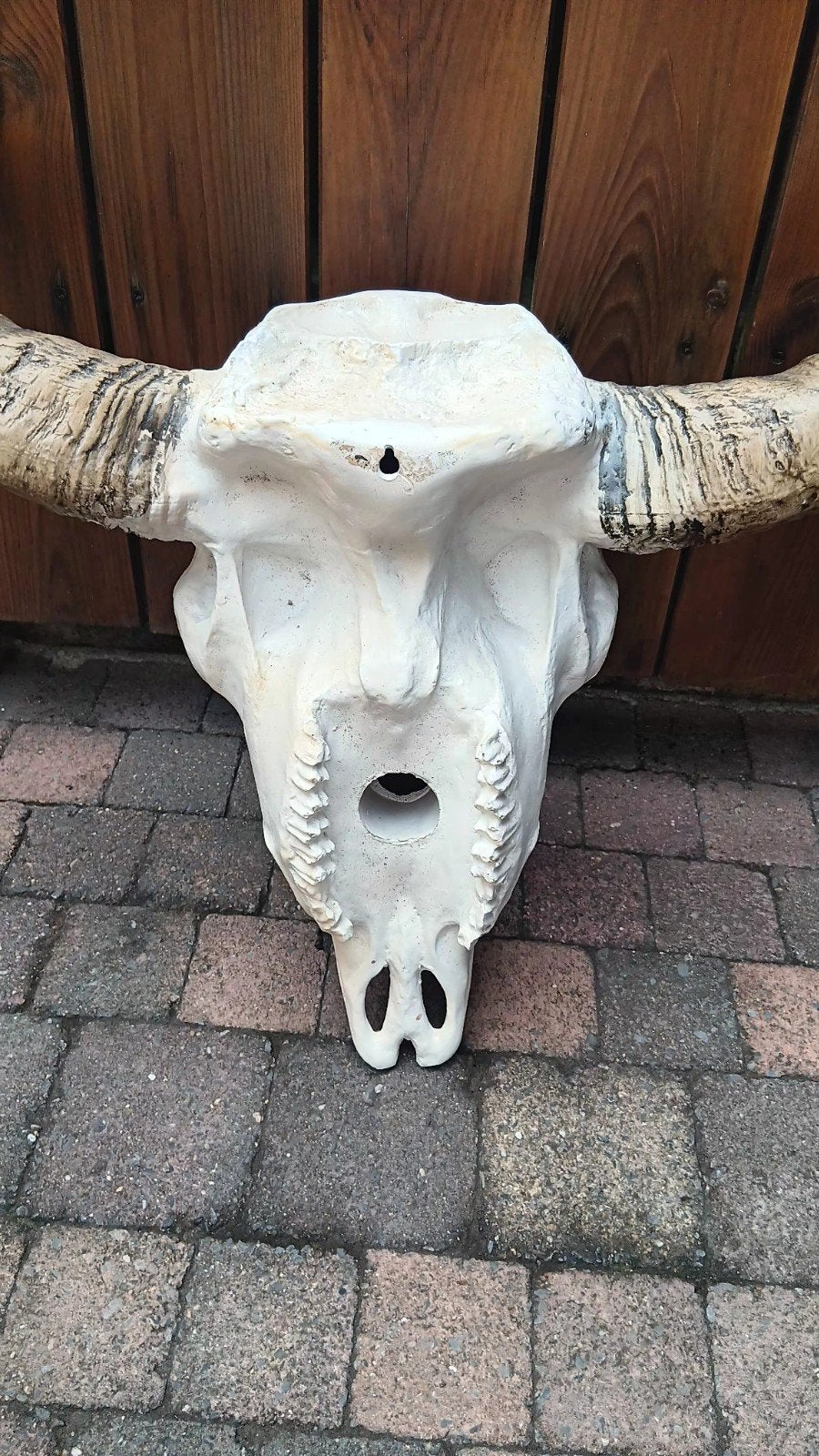 Decoratieve Buffelschedel met Hoorns - Wanddecoratie, Huis en Inrichting, Woonaccessoires | Overige, Gebruikt, Kunststof, Wit