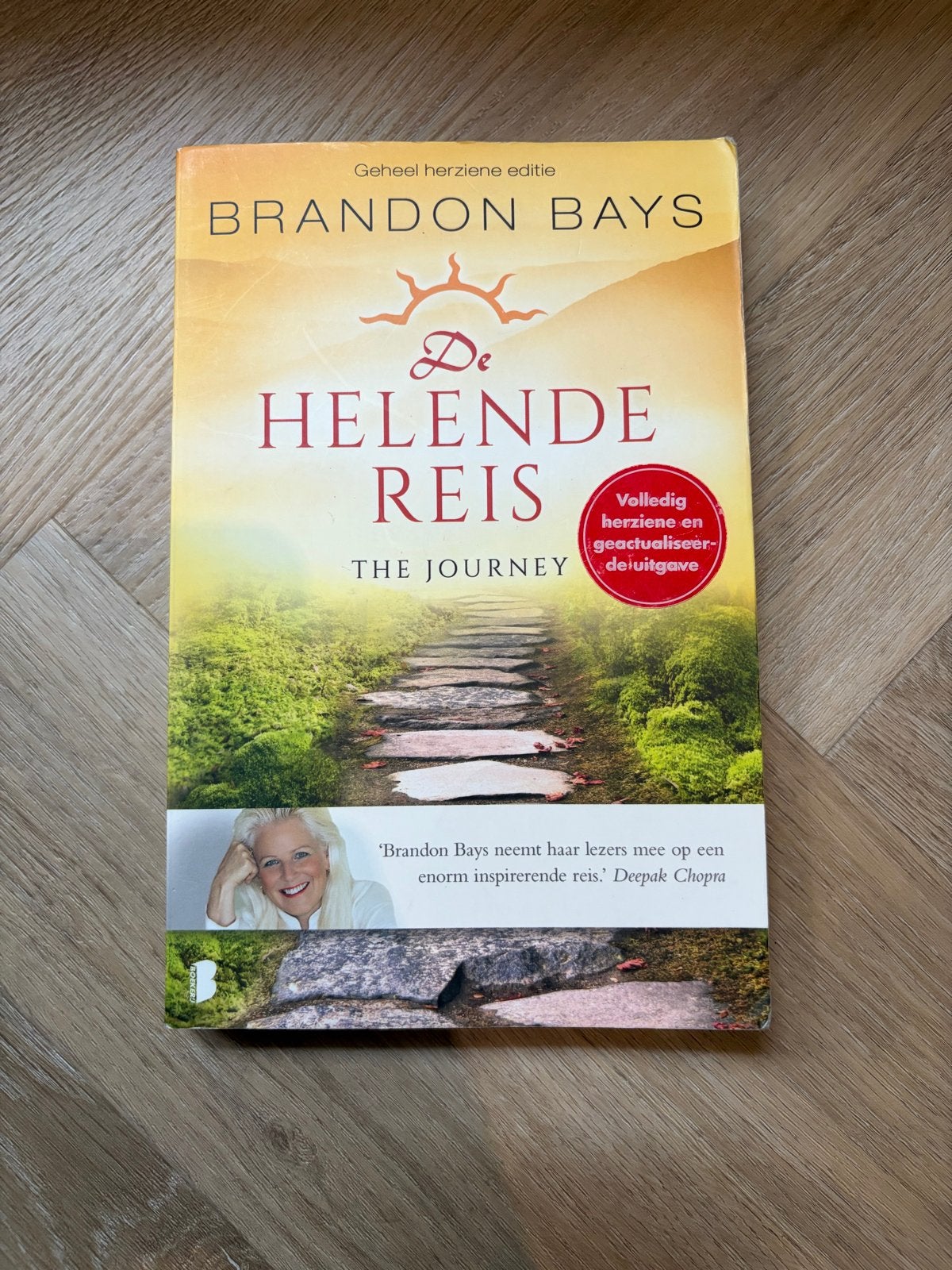 De Helende Reis - Brandon Bays (Geheel herziene editie), Boeken, Ophalen of Verzenden, Zo goed als nieuw, Spiritualiteit algemeen