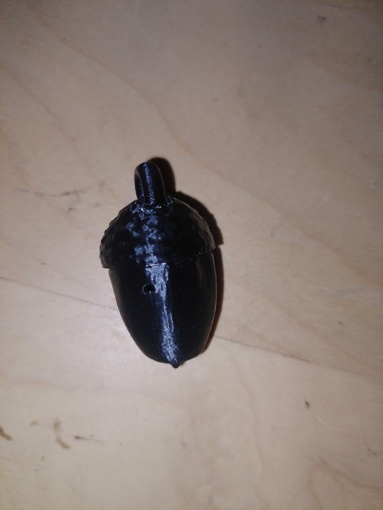 Mieren lok eikeltje voor temnothorax soorten, Mieren
