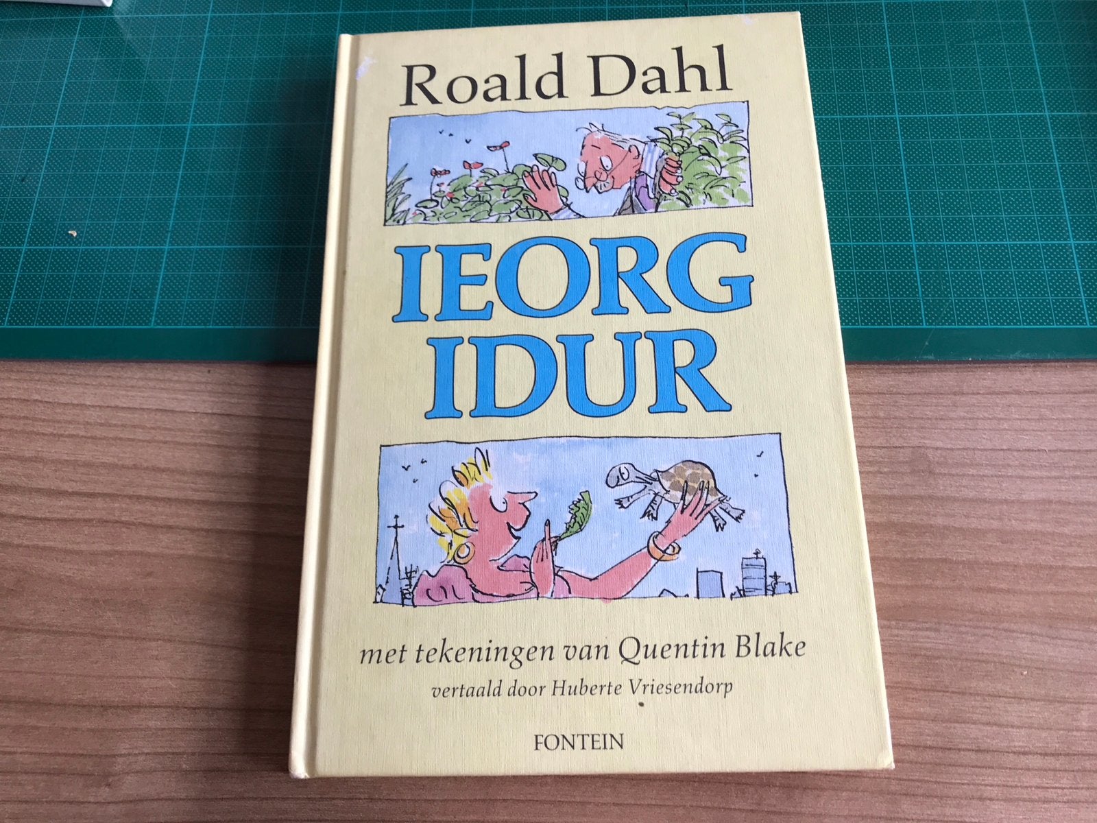 Roald Dahl - Ieorg Idur (kinderboek), Boeken, Kinderboeken | Jeugd | onder 10 jaar, Ophalen of Verzenden, Zo goed als nieuw, Fictie algemeen