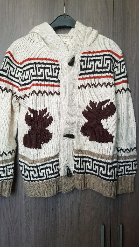 Zara vest mt 164!, Kinderen en Baby's, Kinderkleding | Maat 164, Trui of Vest, Ophalen of Verzenden, Zo goed als nieuw, Jongen