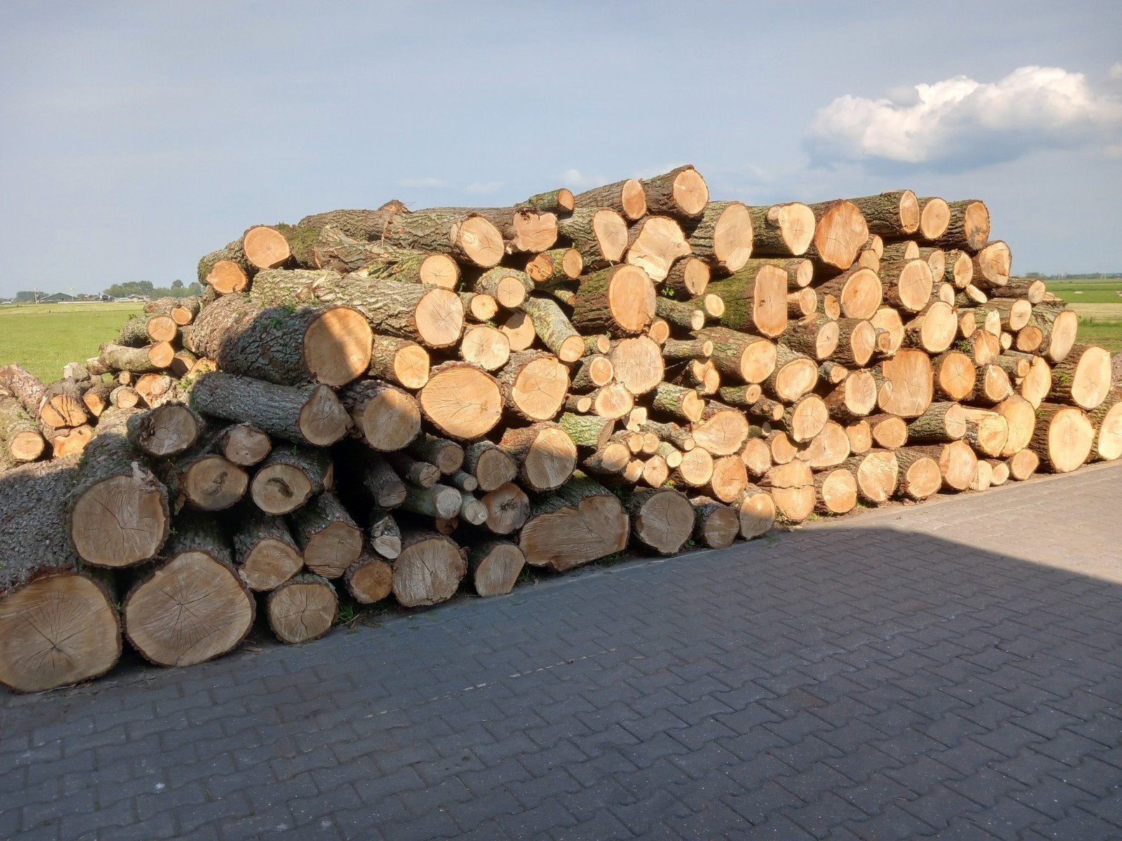 Stamhout brandhout rondhout openhaardhout kachelhout, Tuin en Terras, 6 m³ of meer, Ophalen, Overige houtsoorten, Stammen