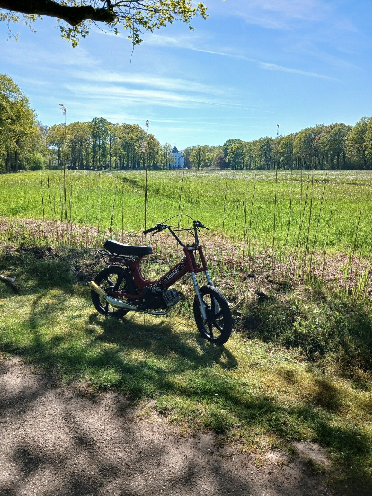 Tomos 65cc zonder kenteken, Fietsen en Brommers, Brommers | Tomos, Ophalen, Zo goed als nieuw, Standard