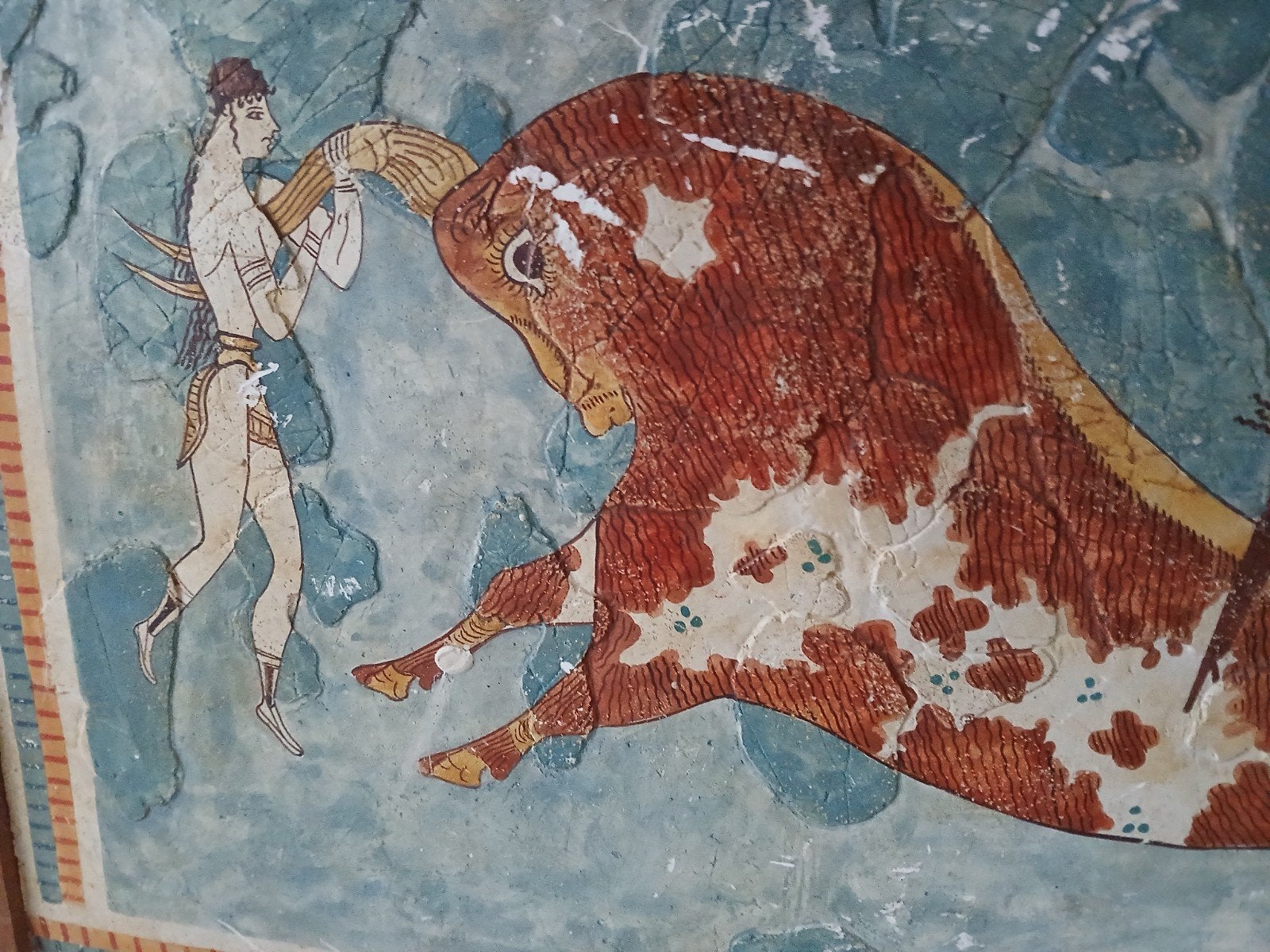 Foto 2 van fresco stierspringer