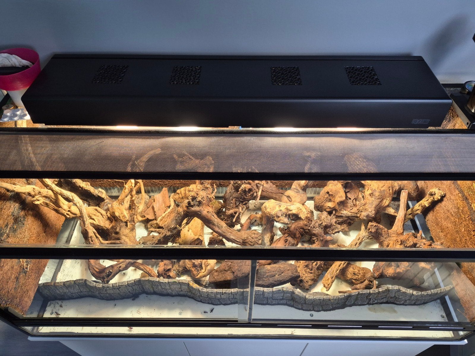 paludarium Terrarium, Dieren en Toebehoren, Ophalen