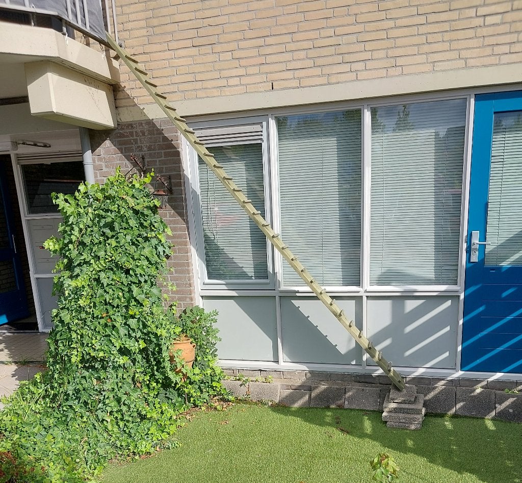 Loopplank voor Katten! (Z.G.A.N.!), Ophalen, Zo goed als nieuw