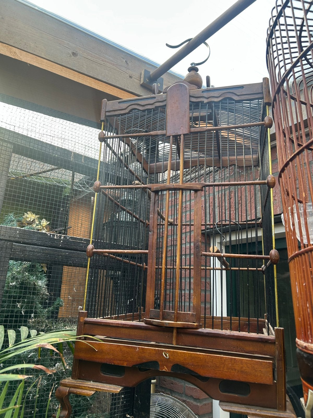 Vogelkooi  voor schamalijsters, Ophalen of Verzenden