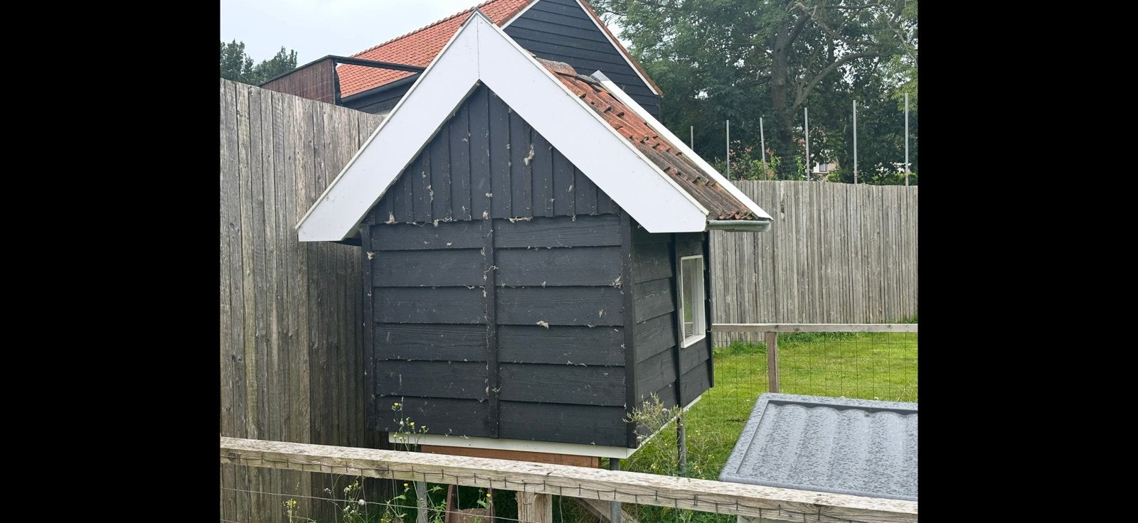 Kippenhok met 5 kippen of zonder, Ophalen of Verzenden, Zo goed als nieuw, Kippenhok of Kippenren