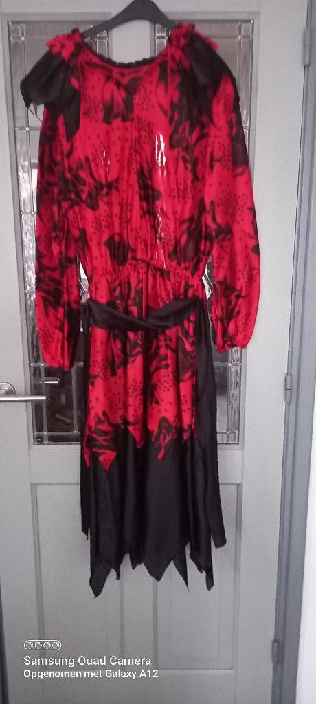 carnavals kleding, Maat 38/40 (M), Carnaval, Ophalen of Verzenden, Zo goed als nieuw