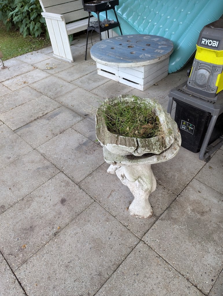 Leuke plantenbak op boomstronk, Tuin en Terras, Ophalen, Gebruikt, Overige vormen, Balkon