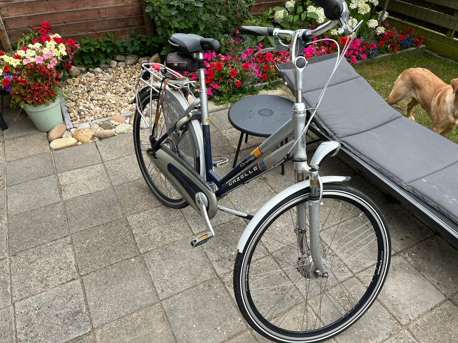Gazelle Orange C7 Damesfiets - Comfortabel en compleet, Ophalen, Velgrem, 50 tot 53 cm, Gazelle