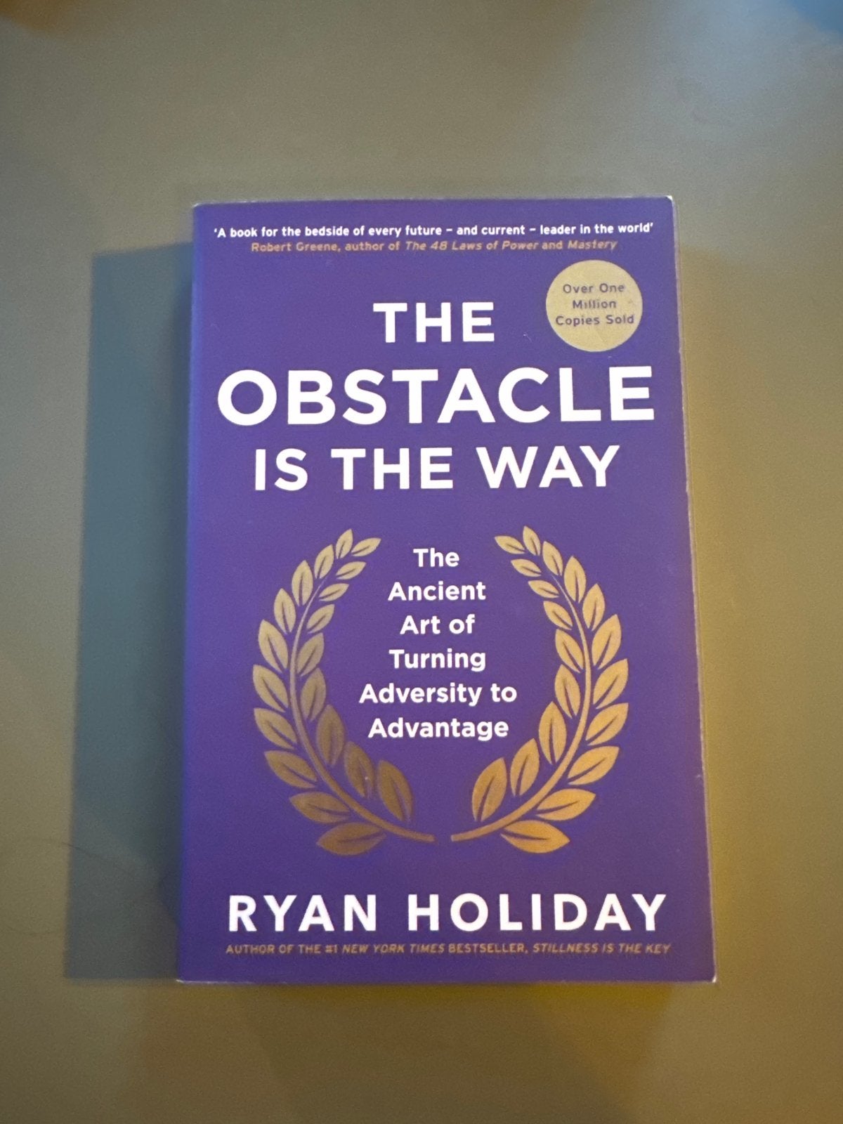 The Obstacle Is The Way - Ryan Holiday, Boeken, Ophalen of Verzenden, Zo goed als nieuw, Wereld overig
