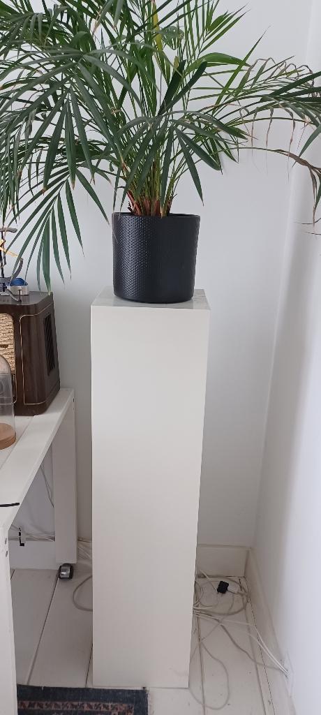 Sokkels / zuilen / plantenstandaards, Ophalen, Gebruikt