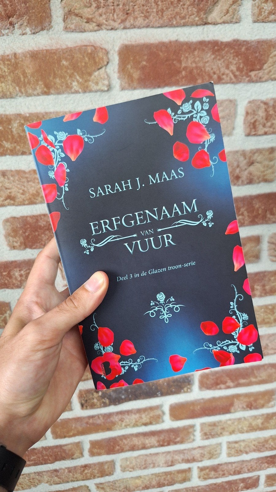 Erfgenaam van Vuur - Sarah J. Maas (Gelezen, goede staat), Boeken, Ophalen of Verzenden, Gelezen, Sarah J. Maas