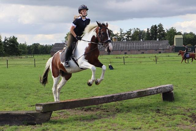Verzorger/bijrijder aangeboden verzorg pony gezocht, Ophalen of Verzenden, Nieuw, Overige soorten