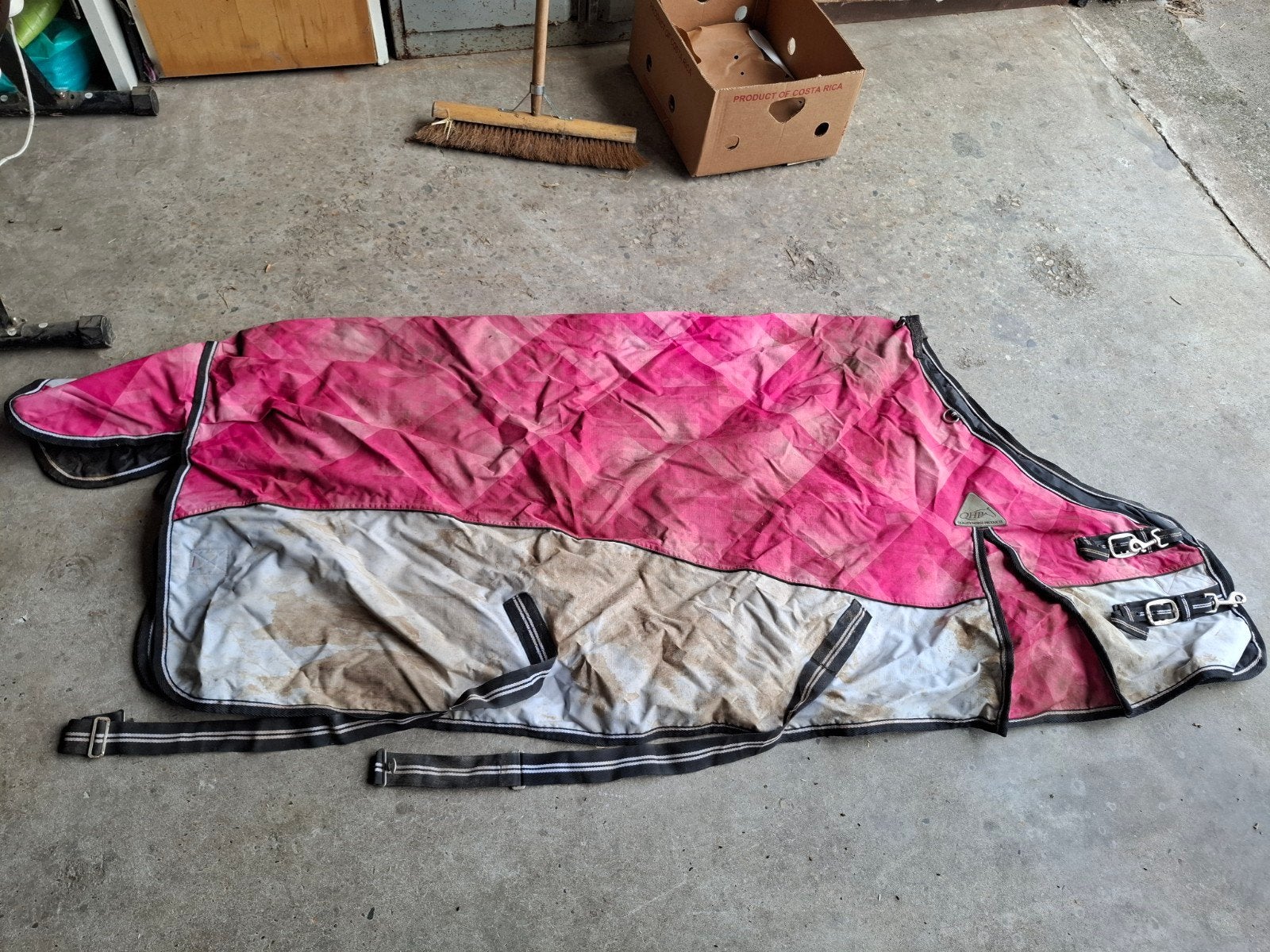regendeken, Dieren en Toebehoren, Gebruikt, 0 g, Ophalen of Verzenden, Overige maten