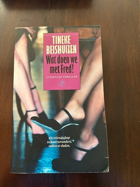 Tineke  Beishuizen, Boeken, Ophalen of Verzenden, Zo goed als nieuw, Tineke Beishuizen
