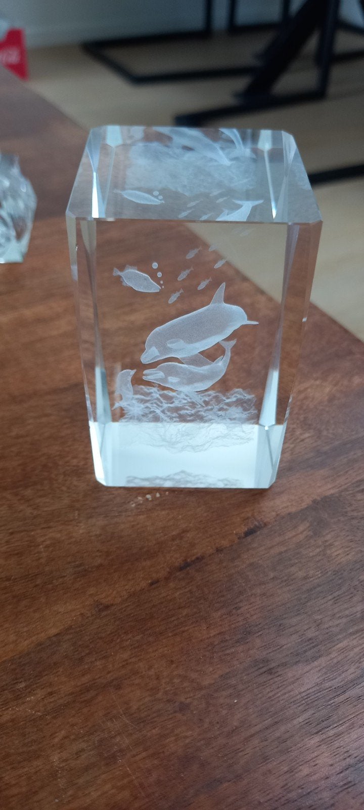 Glazen kubus met 3D dolfijnen en vissen laser gravure, Ophalen of Verzenden