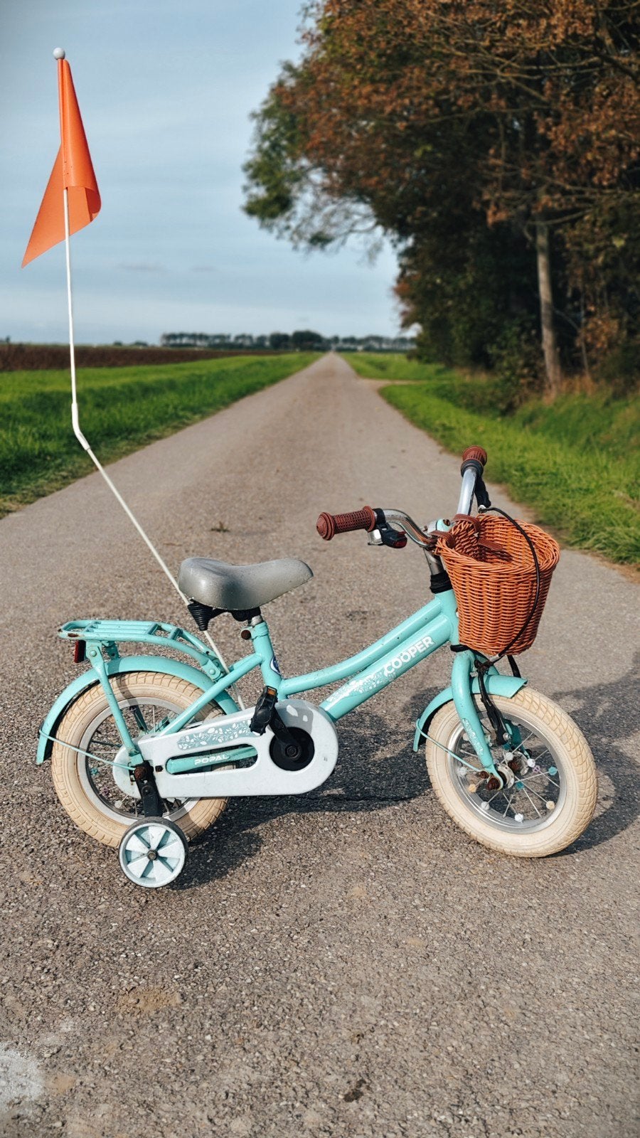 Kinderfiets Popal Cooper 12 inch met zijwieltjes en mandje, Fietsen en Brommers, Ophalen, Zijwieltjes, Gebruikt, Minder dan 16 inch