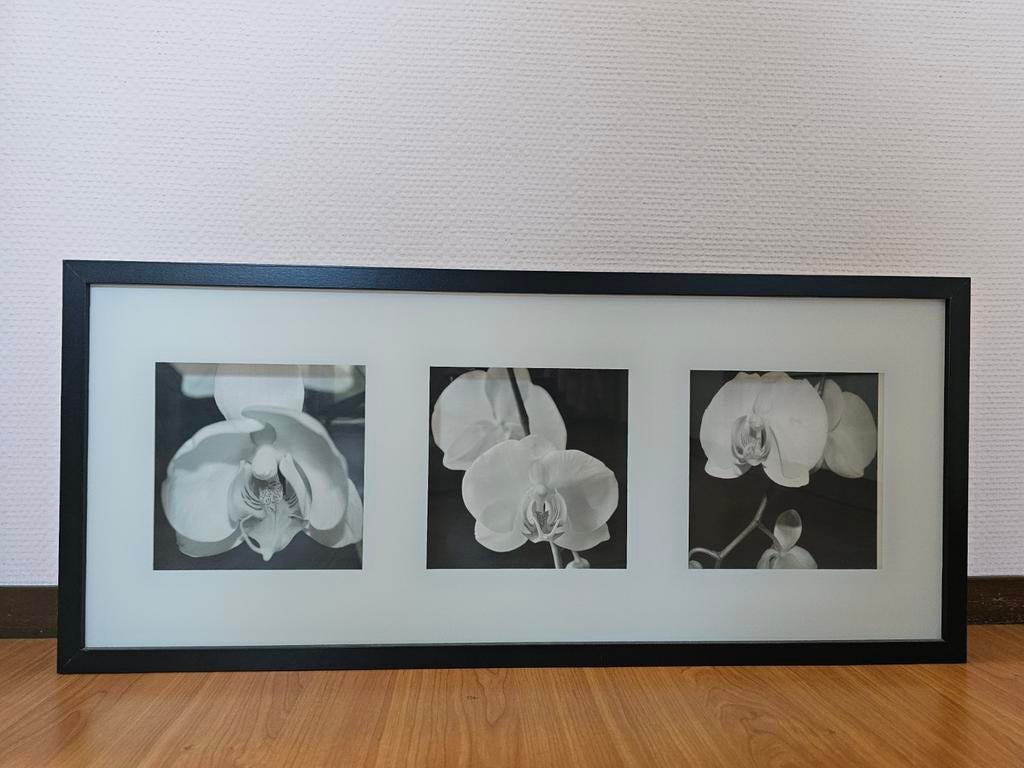 IKEA Erikslund fotolijst met 3 orchideeën, 72x32 cm, Huis en Inrichting, Woonaccessoires | Lijsten, Ophalen of Verzenden