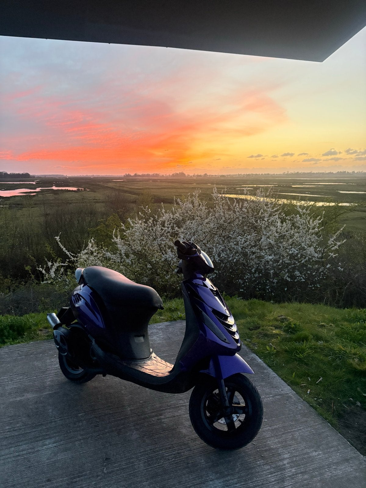 Piaggio Zip Scooter - Paars, Gebruikt, Maximaal 45 km/u, Zip, Ophalen of Verzenden