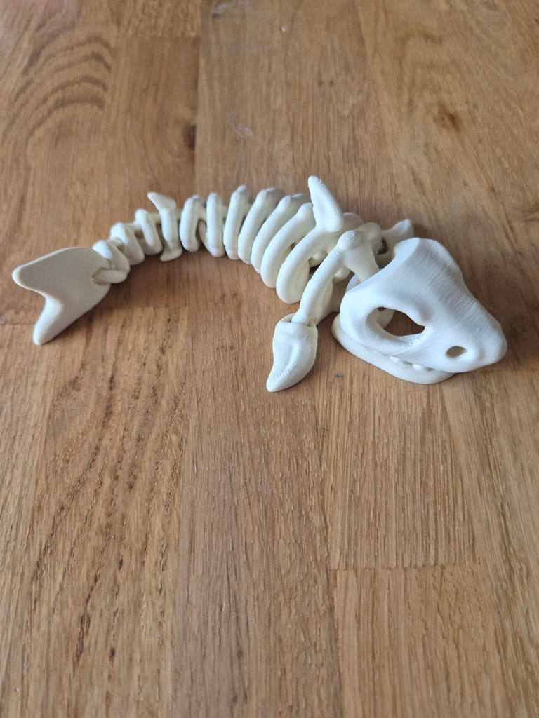 3D Geprint Beweegbaar Haai Skelet, Ophalen of Verzenden, Nieuw