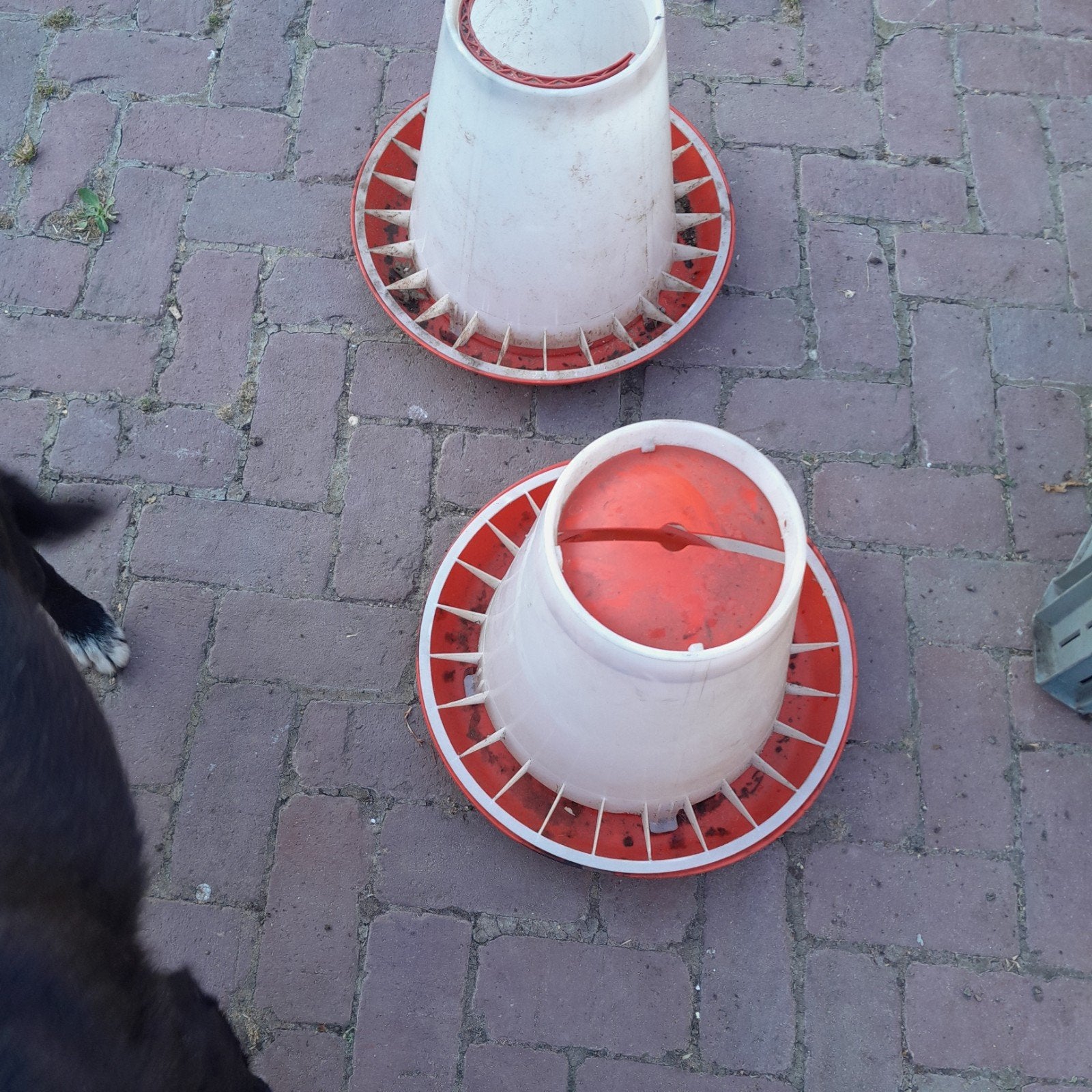 Kippen drink en voerbakken, Dieren en Toebehoren, Pluimvee | Toebehoren, Ophalen of Verzenden, Gebruikt, Drinken en Voederen