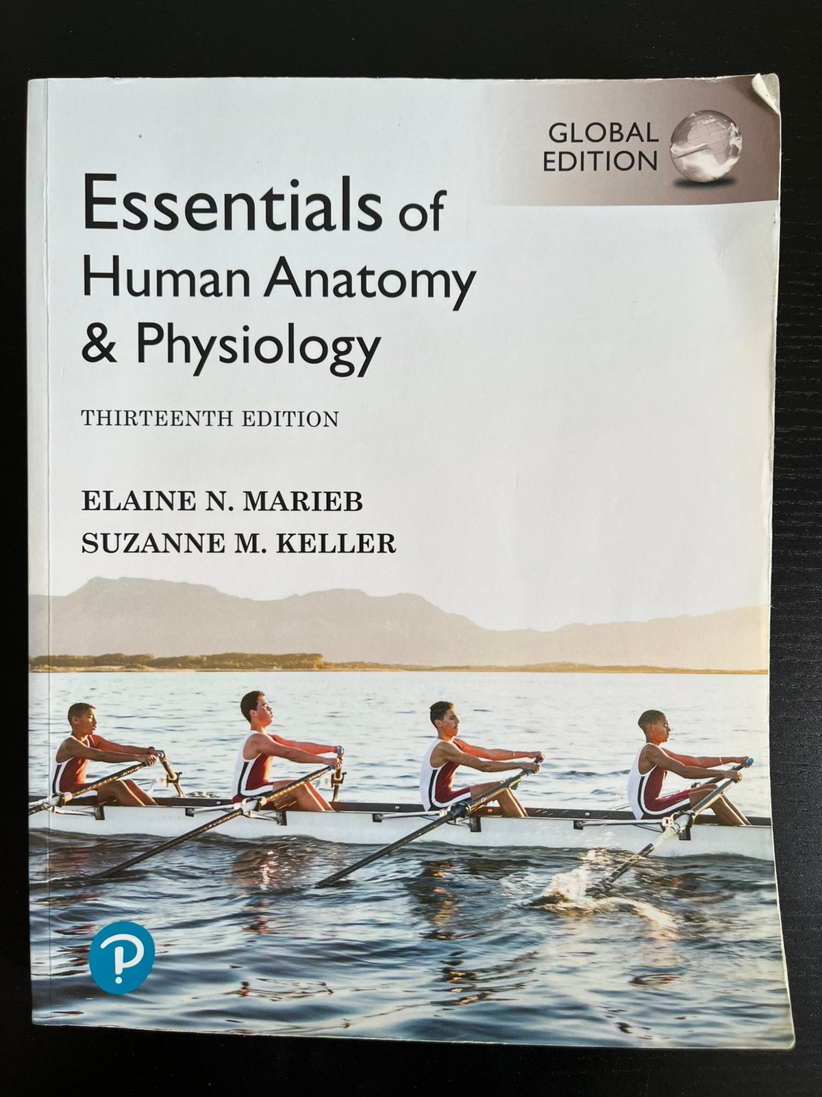 Essentials of Human Anatomy & Physiology, Ophalen, Beta, Zo goed als nieuw, HBO