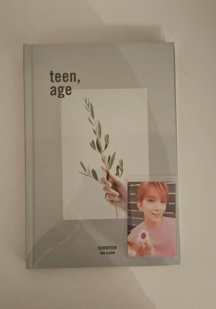 Seventeen - Teen Age, Ophalen of Verzenden, Zo goed als nieuw, Aziatisch