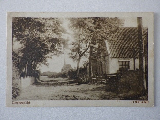 1909 AMELAND Dorpsgezicht uitg COOP Excelsior Leeuwarden, Ophalen, Voor 1920, Gelopen, Waddeneilanden