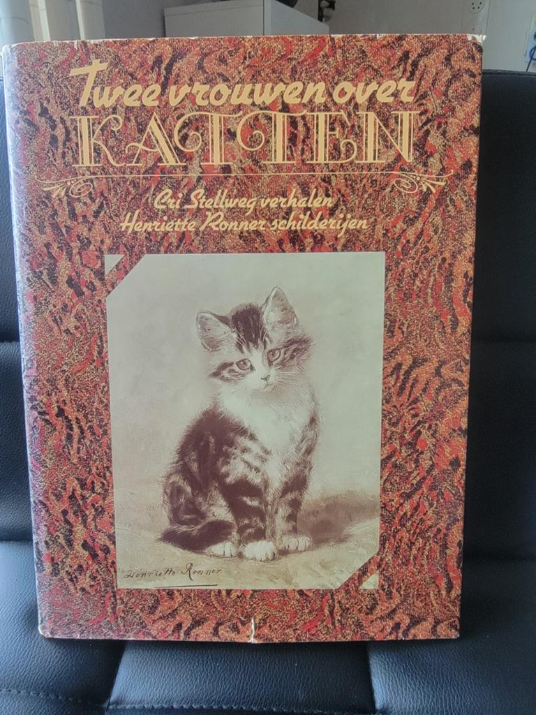 Twee kattem, Boeken, Dieren en Huisdieren, Zo goed als nieuw, Katten, Ophalen of Verzenden