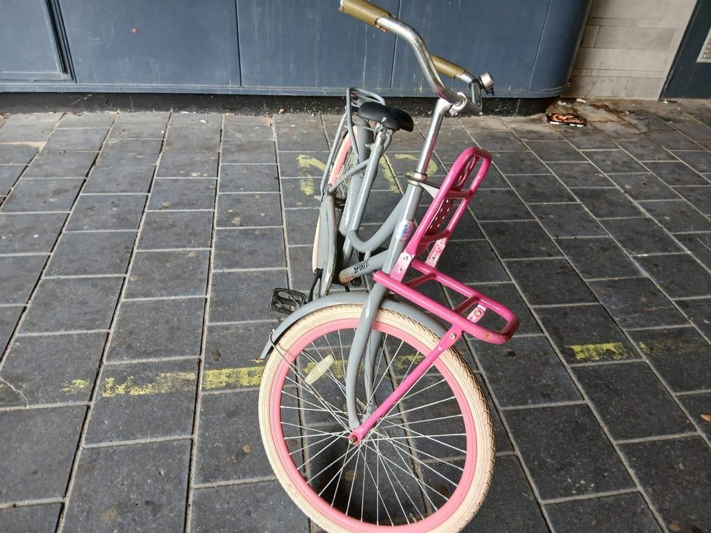 Leuke kleine fiets met roze accenten en voordrager, Ophalen of Verzenden, Gebruikt, 20 inch of meer, Spirit