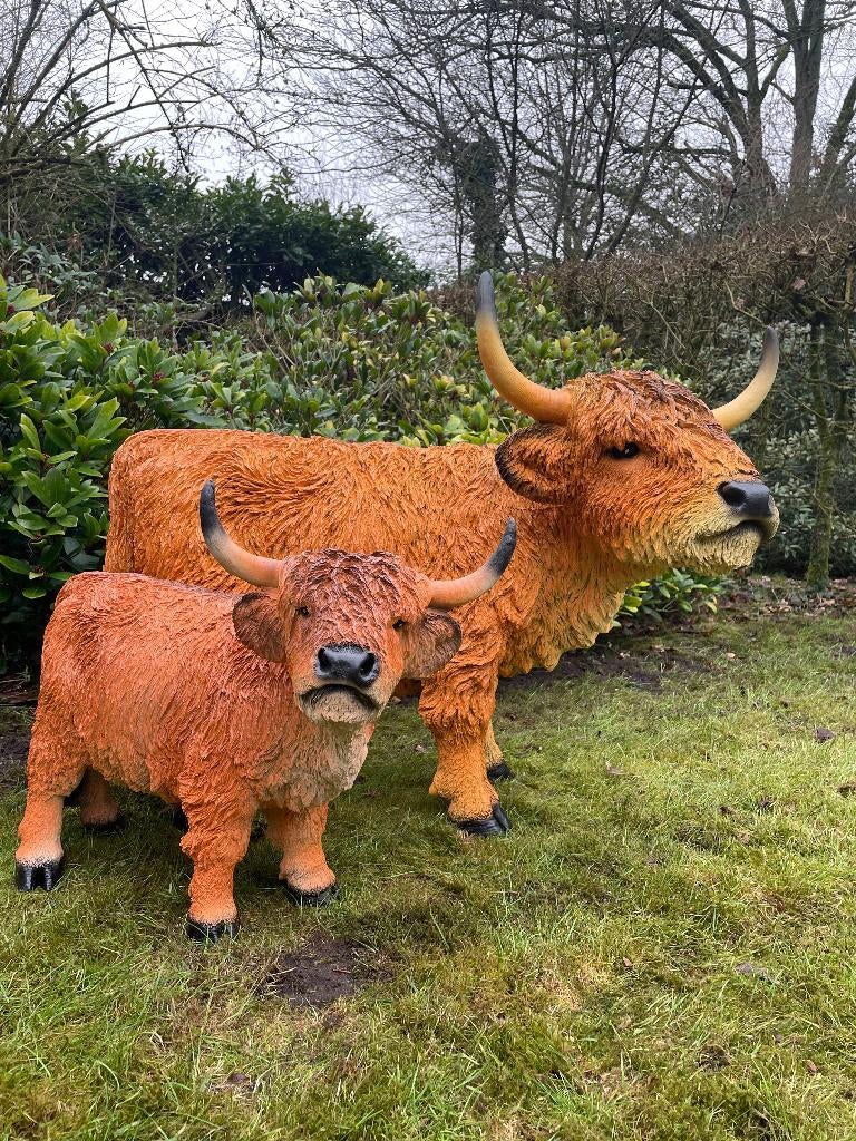 Set Schotse Hooglander, Rosse koe, tuin, boerderij, 100cm, Ophalen, Nieuw, Kunststof, Dierenbeeld