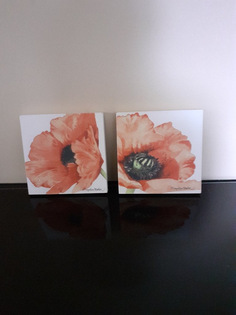 Set canvas schilderijtjes, Ophalen, Minder dan 50 cm, Zo goed als nieuw, Schilderij