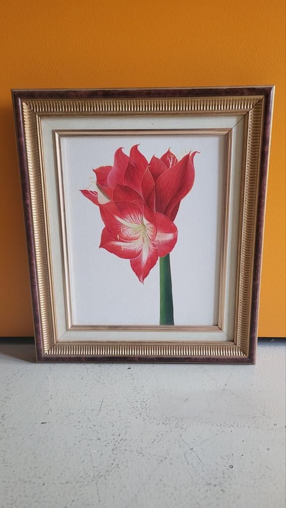 Bloem schilderijen, Ophalen, Minder dan 50 cm, Schilderij, Minder dan 50 cm