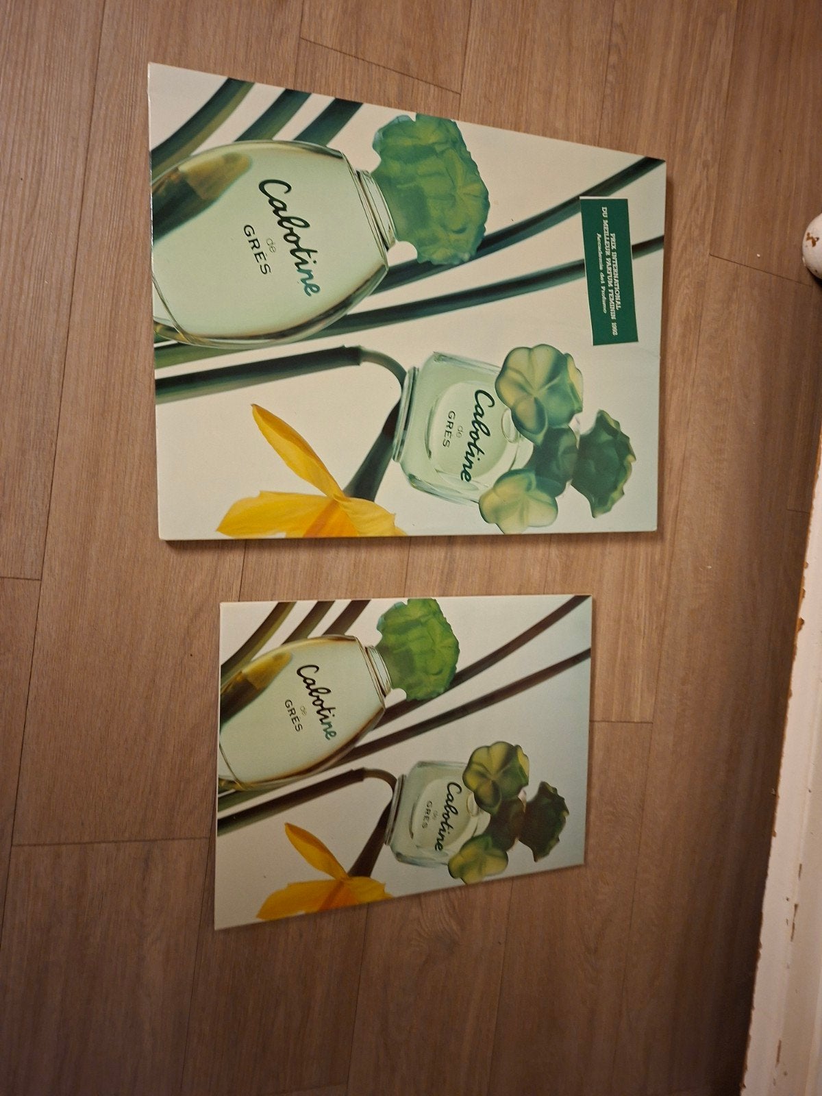 cabotine display parfum. ophalen meerdere locaties NL, Ophalen of Verzenden