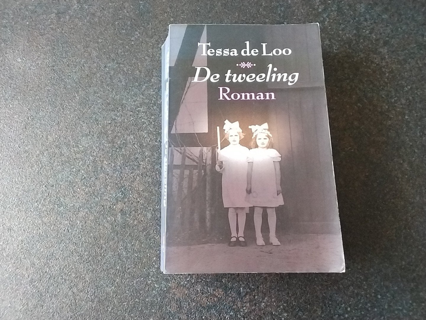 Tessa de Loo - De Tweeling (Roman), Ophalen of Verzenden, Gelezen, Tessa de Loo, Nederland