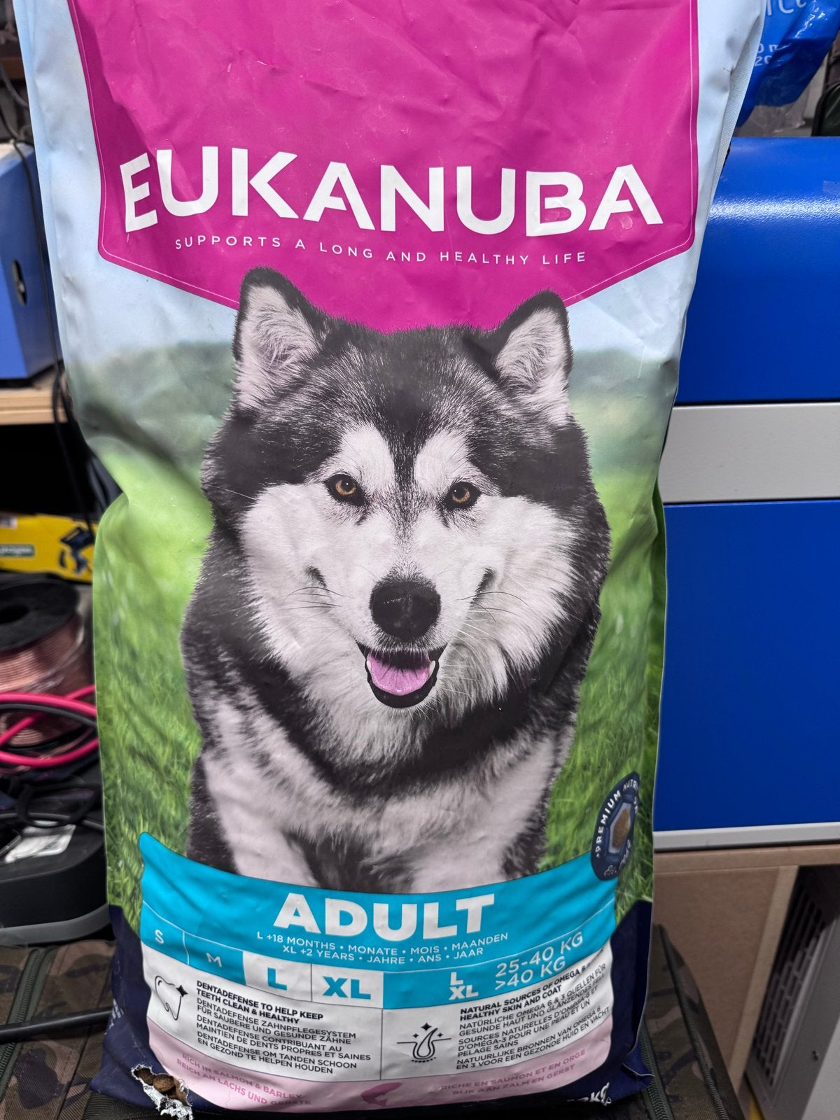 Eukanuba hondenbrokken, Ophalen, Hond