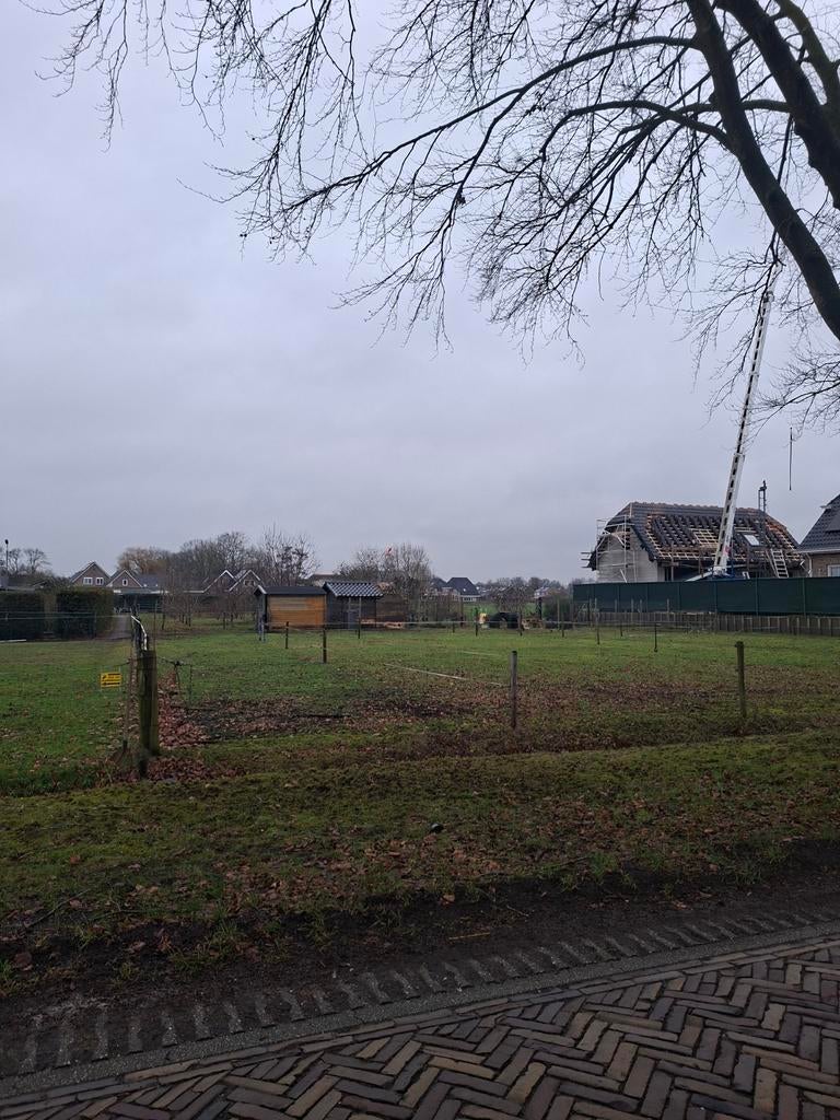 Weiland voor pony te huur bij Meppel