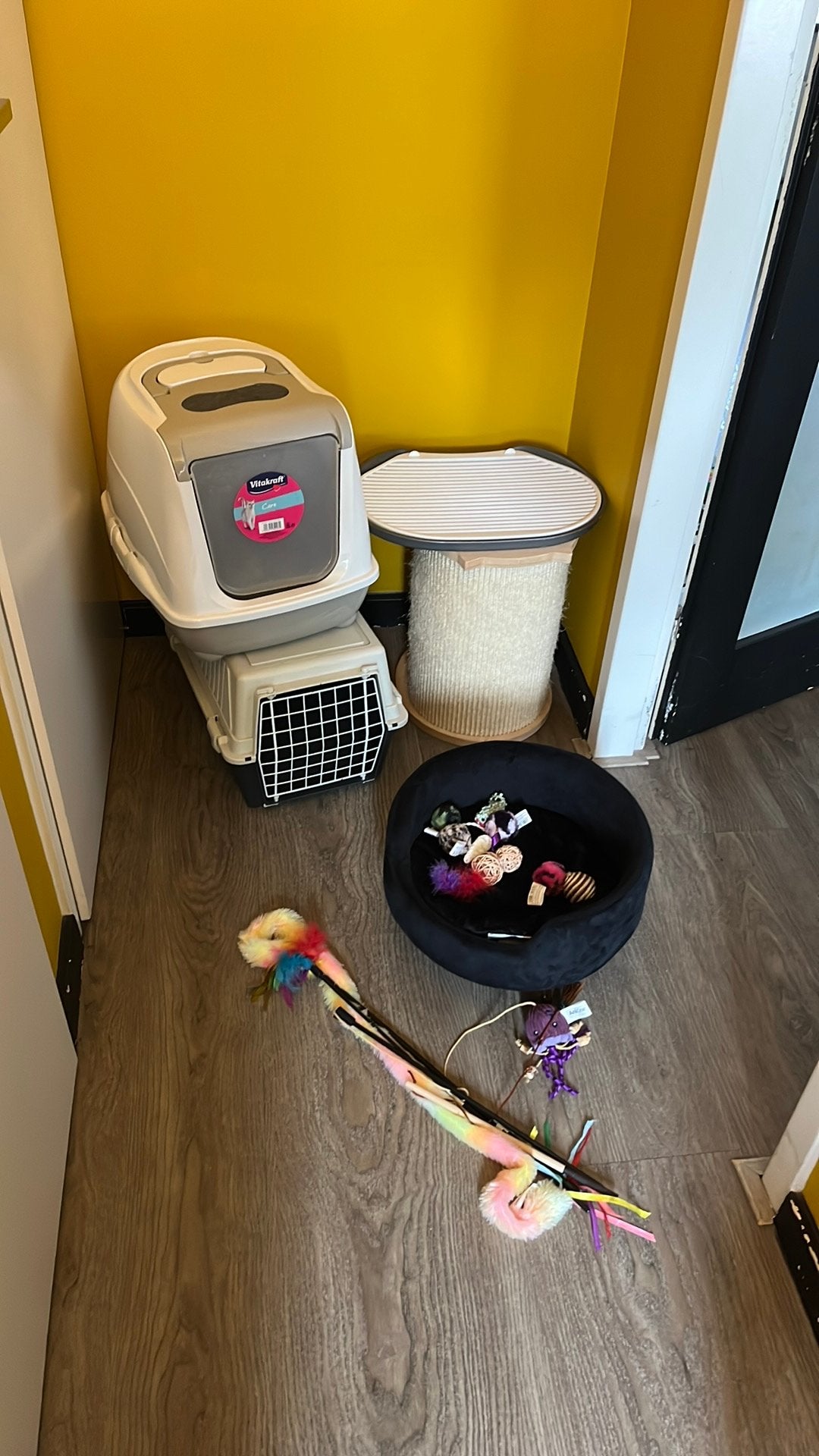 Set kattenaccessoires, Dieren en Toebehoren, Katten-accessoires, Gebruikt, Ophalen