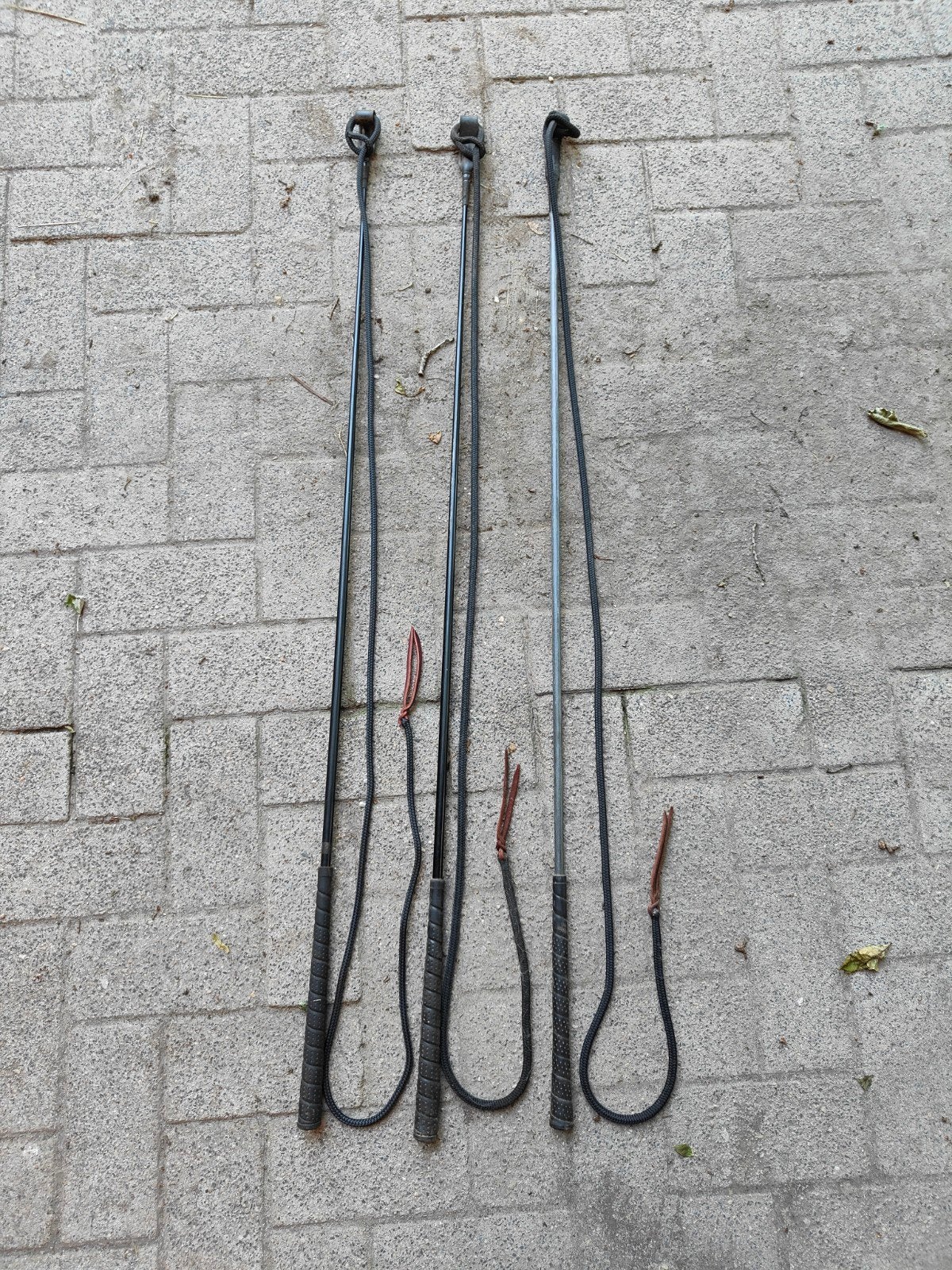 Trainingsstick/carrot stick met string. 2x, Ophalen