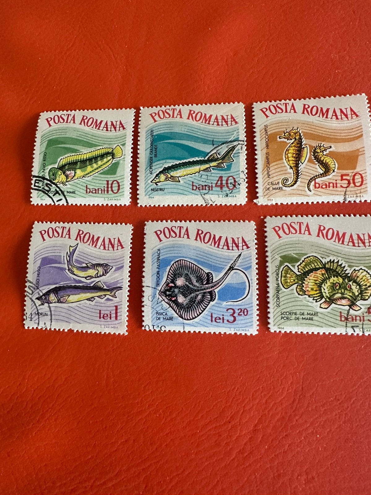 Serie Vissen, Ophalen of Verzenden, Dier of Natuur