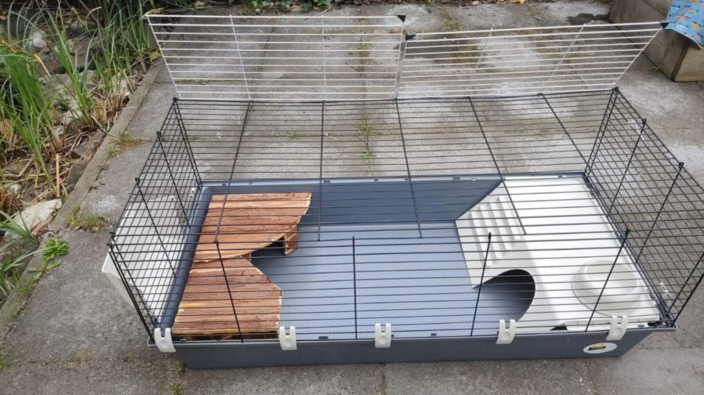 Mooi hok voor cavia's of konijnen, 110 cm of meer, Zo goed als nieuw, Konijn, Hok