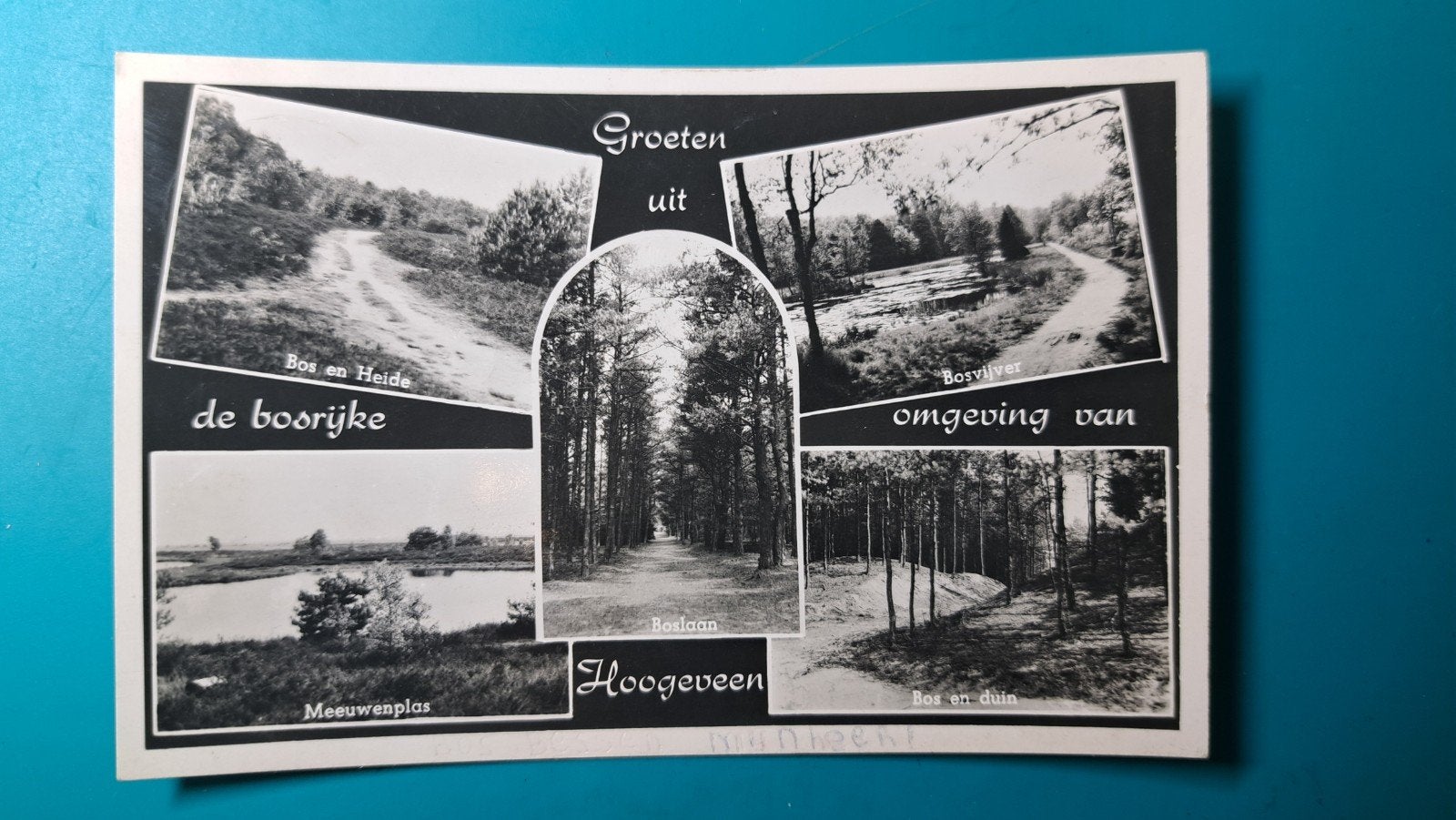 Hoogeveen 1954 bosrijke omgeving, Ophalen of Verzenden, 1940 tot 1960, Gelopen, Drenthe