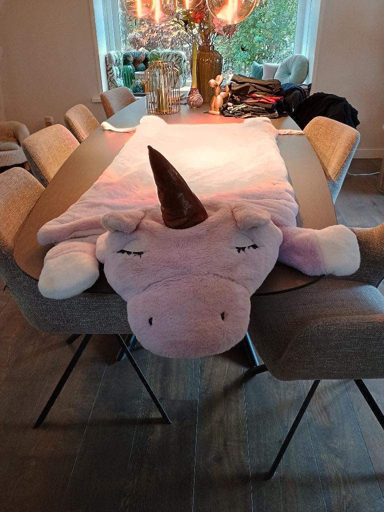 Unicorn slaapzak leuk voor schoolkamp, Caravans en Kamperen, Ophalen, Gebruikt