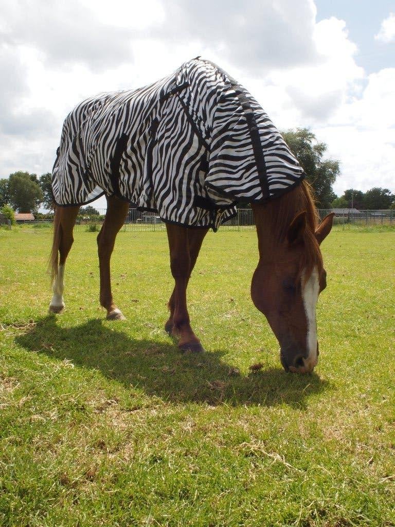 Nieuwe Zebra Vliegendeken met afneembare hals Maat 155, Dieren en Toebehoren, Paarden en Pony's | Dekens en Dekjes, Meerkleurig