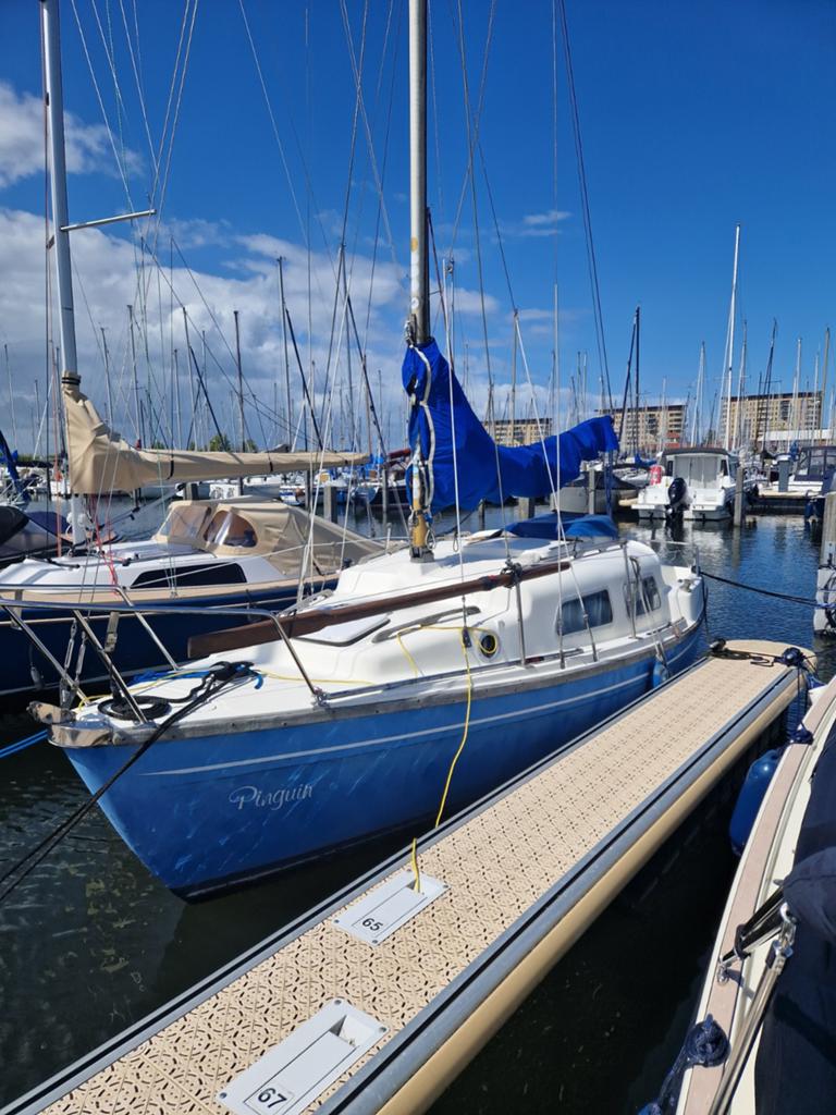 Leisure 22, Ophalen, Gebruikt, Viertaktmotor, Leisure