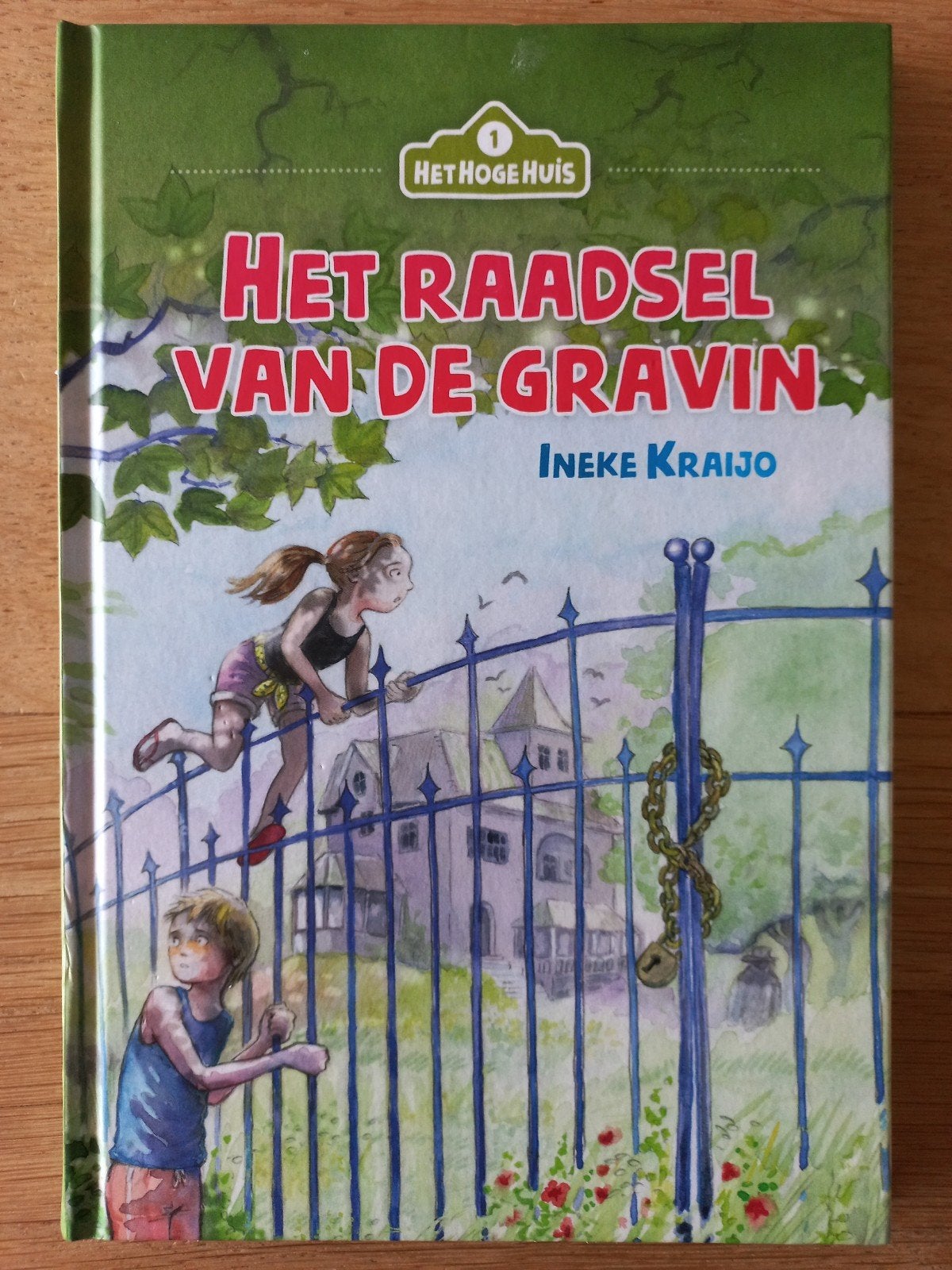 Het raadsel van de gravin, Ineke Kraijo, christelijk, ZGAN!, Boeken, Ophalen of Verzenden, Zo goed als nieuw